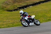 PJM-Photography;anglesey-no-limits-trackday;anglesey-photographs;anglesey-trackday-photographs;enduro-digital-images;event-digital-images;eventdigitalimages;no-limits-trackdays;peter-wileman-photography;racing-digital-images;trac-mon;trackday-digital-images;trackday-photos;ty-croes